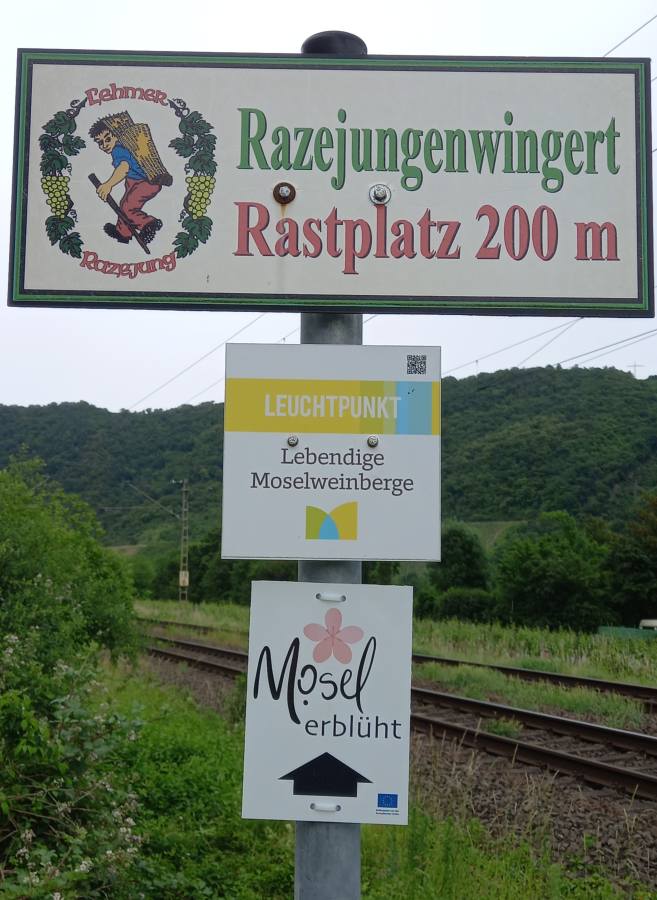 Hinweisschilder Lavendelblütenfest