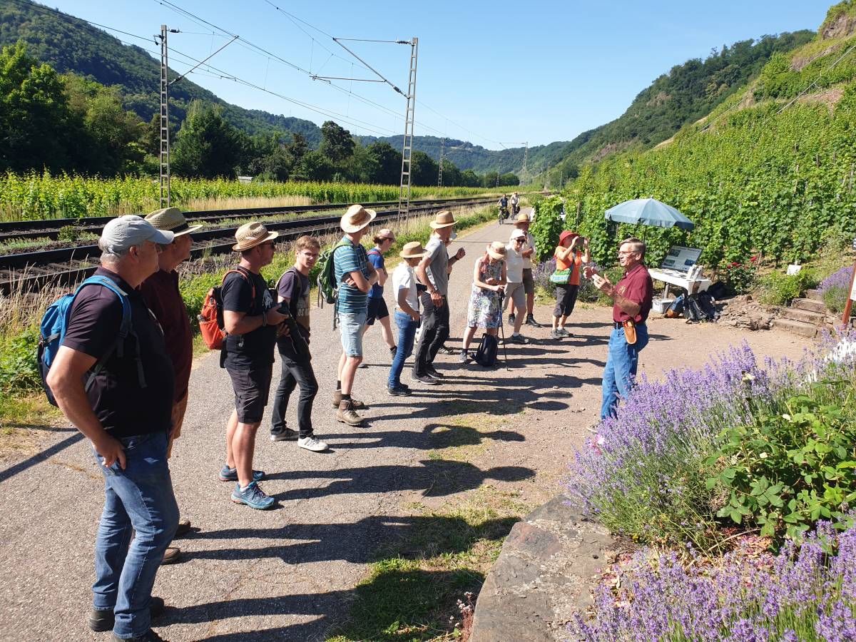 Angehende Naturerlebnisbegleiter in der Würzlay Angehende Naturerlebnisbegleiter in der Würzlay