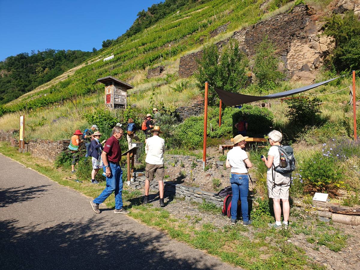 Angehende Naturerlebnisbegleiter in der Würzlay Angehende Naturerlebnisbegleiter in der Würzlay