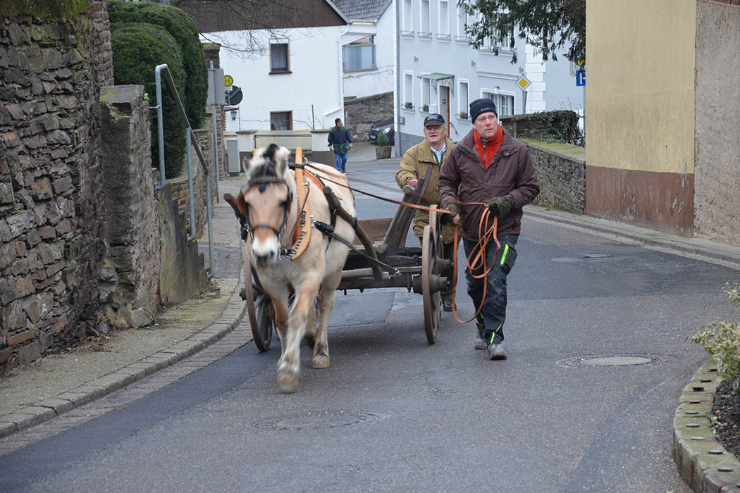 Misttragen 2016 Misttragen 2016