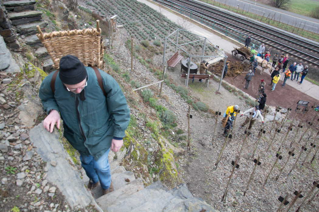 Misttragen 2016 Misttragen 2016