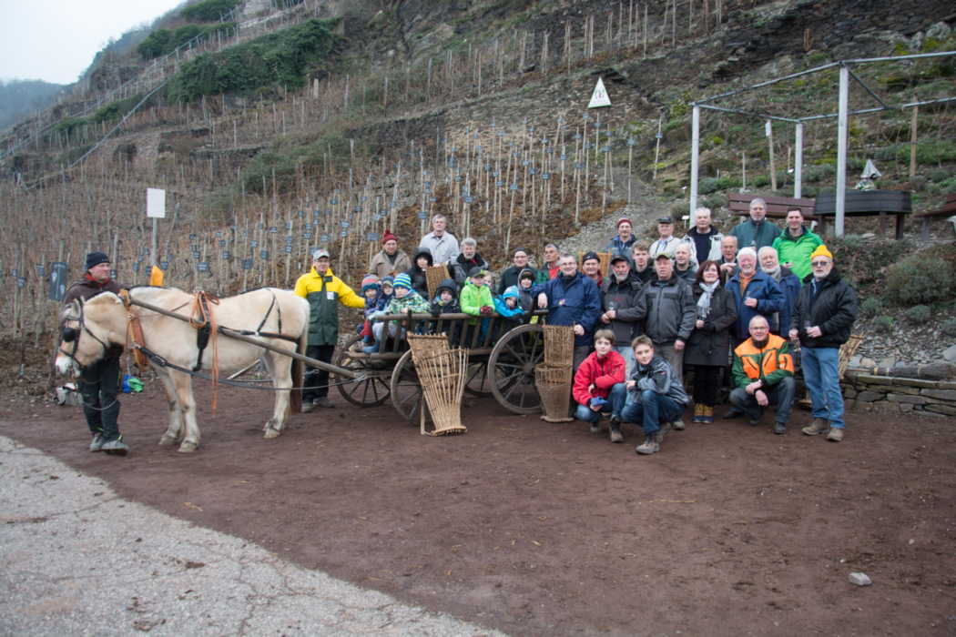 Misttragen 2016 Misttragen 2016
