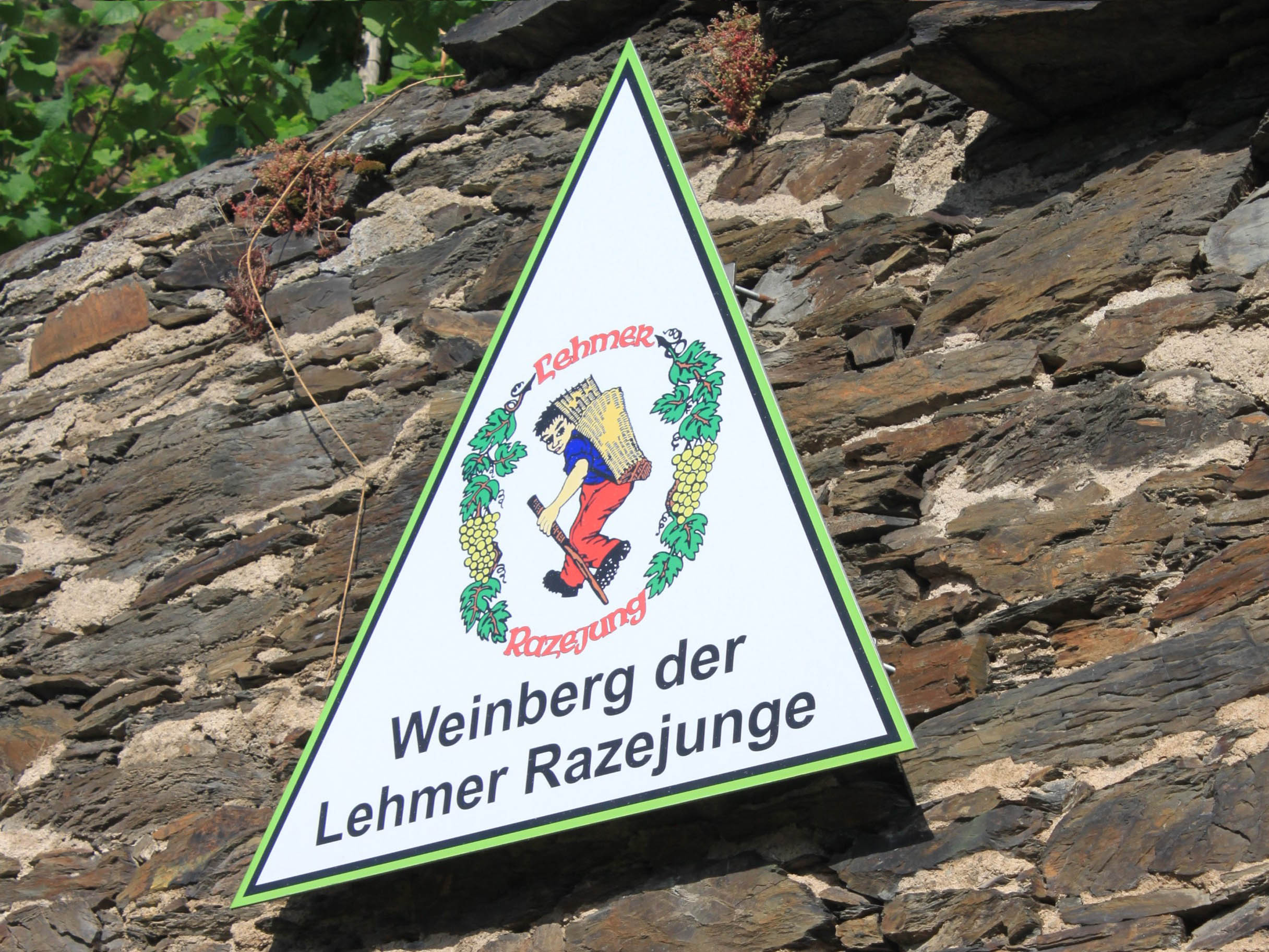 Schild im Razejungewingert
