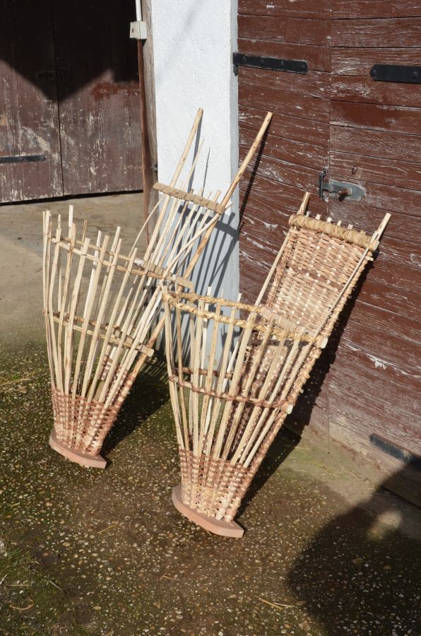 Razenbau