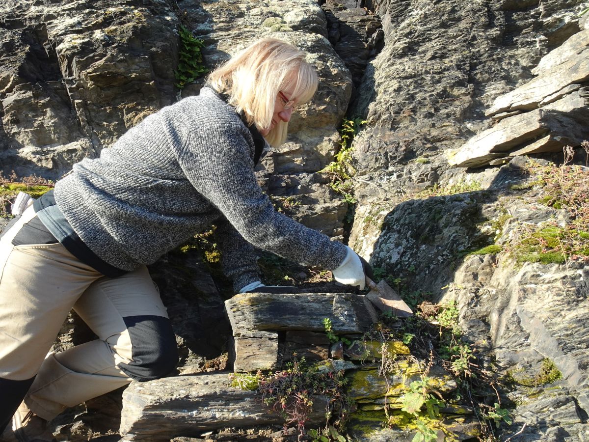 Die Bruchsteintreppen müssen regelmäßig gesäubert werden. Die Bruchsteintreppen müssen regelmäßig gesäubert werden.
