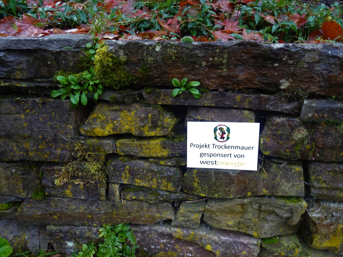Trockenmauer gesponsort von Westenergie Trockenmauer gesponsort von Westenergie